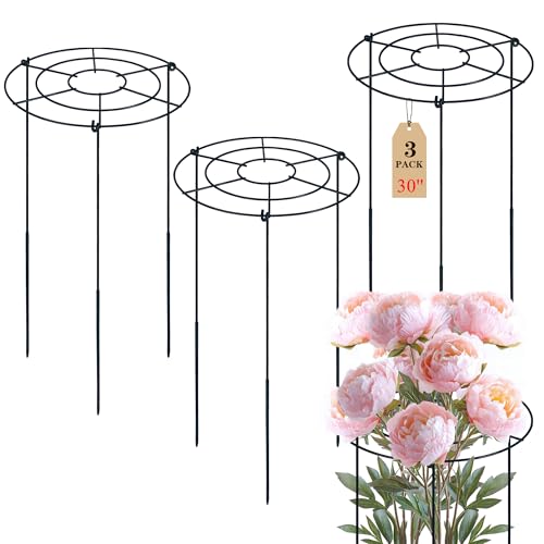 Peony Cages and Supports, 30"H x 13.8"D Plant Supports for Outdoor Plants by UYEDUJZ - Used condition - US$19.59