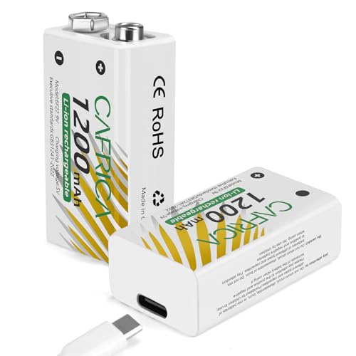 TEMIBATT 9 Volt Lithium Battery