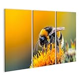 Unsere hochwertigen Bilder bestehen aus reinweißem Canvas mit einer echten Leinwandstruktur. Die Trägerplatte ist aus einer soliden Holzfaserplatte gefertigt, die aus nachhaltiger Forstwirtschaft stammt. Vor der Auslieferung wird das von uns bedruckte Canvas-Leinwandgewebe bereits auf die Holzplatten gespannt. Dadurch entfällt die Notwendigkeit für einen eigenen Rahmen oder eine andere Spannvorrichtung.