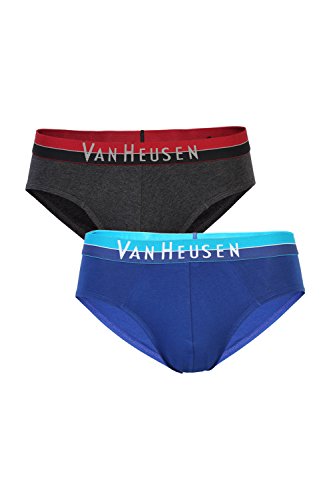 Van Heusen Men 10005 Briefs (pack of 2)