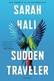 Sudden Traveler: Stories – Illuminating Short Fiction on the Human Quest for Identity, Love, and Mortality