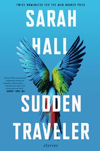 Sudden Traveler: Stories – Illuminating Short Fiction on the Human Quest for Identity, Love, and Mortality