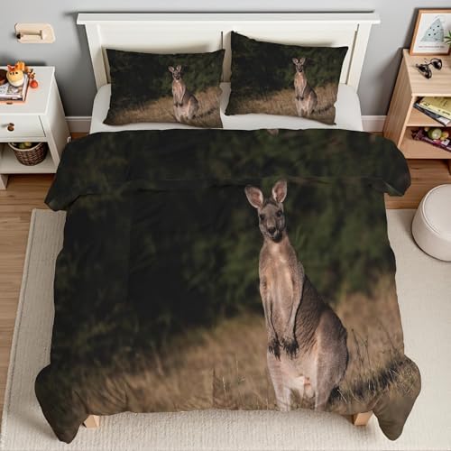 Housse de couette écureuil 200x200 microfibre douce avec zip - 4
