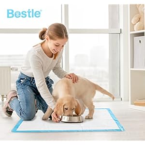 Large Pet Training and Puppy Pads Pee Pad for Dogs 24"x24"-80 Count Super Absorbent & Leak-Proof Large Pet Training and Puppy Pads Pee Pad for Dogs 24×24 80 Count Super Absorbent Leak Proof