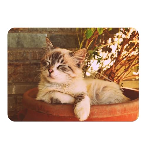 Sets de table chat mignon imperméables et faciles à nettoyer