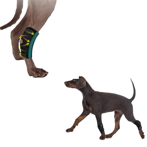 Image of (S /M) Dog Leg Brace for Back Leg, Canine Hock Brace for Legs, Joint Warps Strong Support Help for Hind Leg Injuries Sprains Arthritis