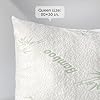 Cloud-Like Pillow Protectors with Zipper Queen Size - Breathable Cooling Pillow Covers for Hot Sleeprers - 100% Resistant to Stains, Dust & Dirt (Green 2-Pack)