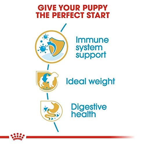 Royal Canin Miniature Schnauzer Junior 1,5 kg, 1er Pack (1 x 1.5 kg)