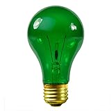 Sylvania 38 Watt Transparent Indoor Outdoor Green Light Bulb (Pack of 2)