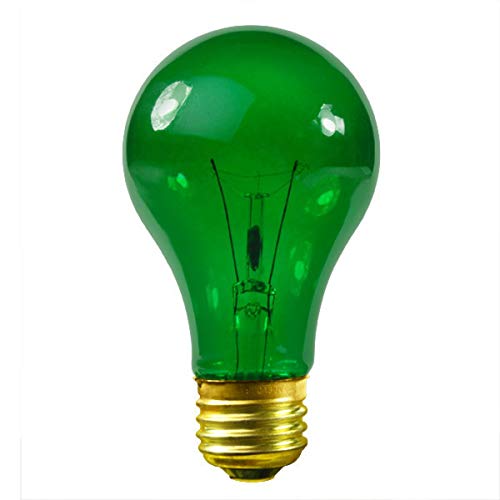 Sylvania 38 Watt Transparent Indoor Outdoor Green Light Bulb (Pack of 2)