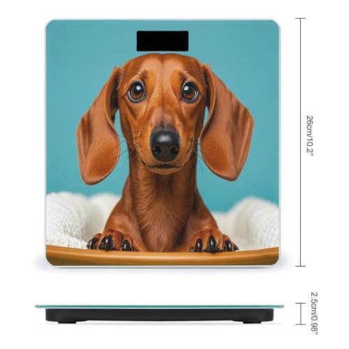 Báscula Digital de Baño FekiLoot con Plataforma Ancha y Pantalla LCD miniatura 2