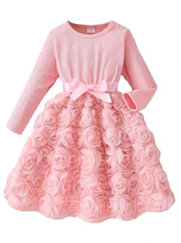 JiAmy Mädchen Kleider Langarm Hübsches Kleinkinder 3D-Grafik Rosen Tüllkleid Festliches Kinder Partykleid Geburtstagskleid mit Satinbund für Kleine Mädchen für 4 Jahre, Rosa