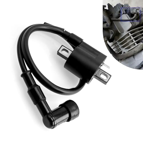 Arwrilt 1 PC Motorcycle Ignition Coil, High Performance Ignition Coil for 125/150/250CC Motorcycle Engines, Spark Plug Wire Motor Ignitor Line Kit Tool Replacement for ATV, Dirt Bike and More (Black)