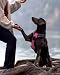 Joytale Hundegeschirr mittelgroße Hunde, reflektierendes Geschirr Hund,luftdurchlässige Hundegeschirr, verstellbares Brustgeschirr mit Griff beim Führen und Training, Rosa, M