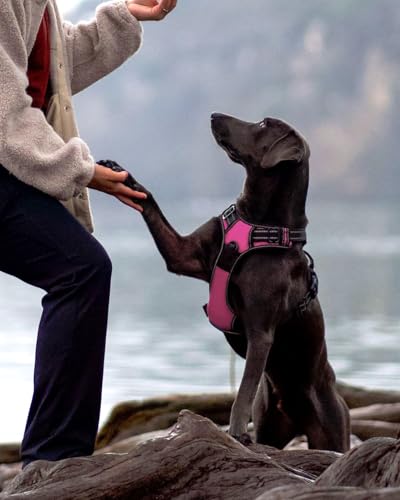 Joytale Hundegeschirr mittelgroße Hunde, reflektierendes Geschirr Hund,luftdurchlässige Hundegeschirr, verstellbares Brustgeschirr mit Griff beim Führen und Training, Rosa, M