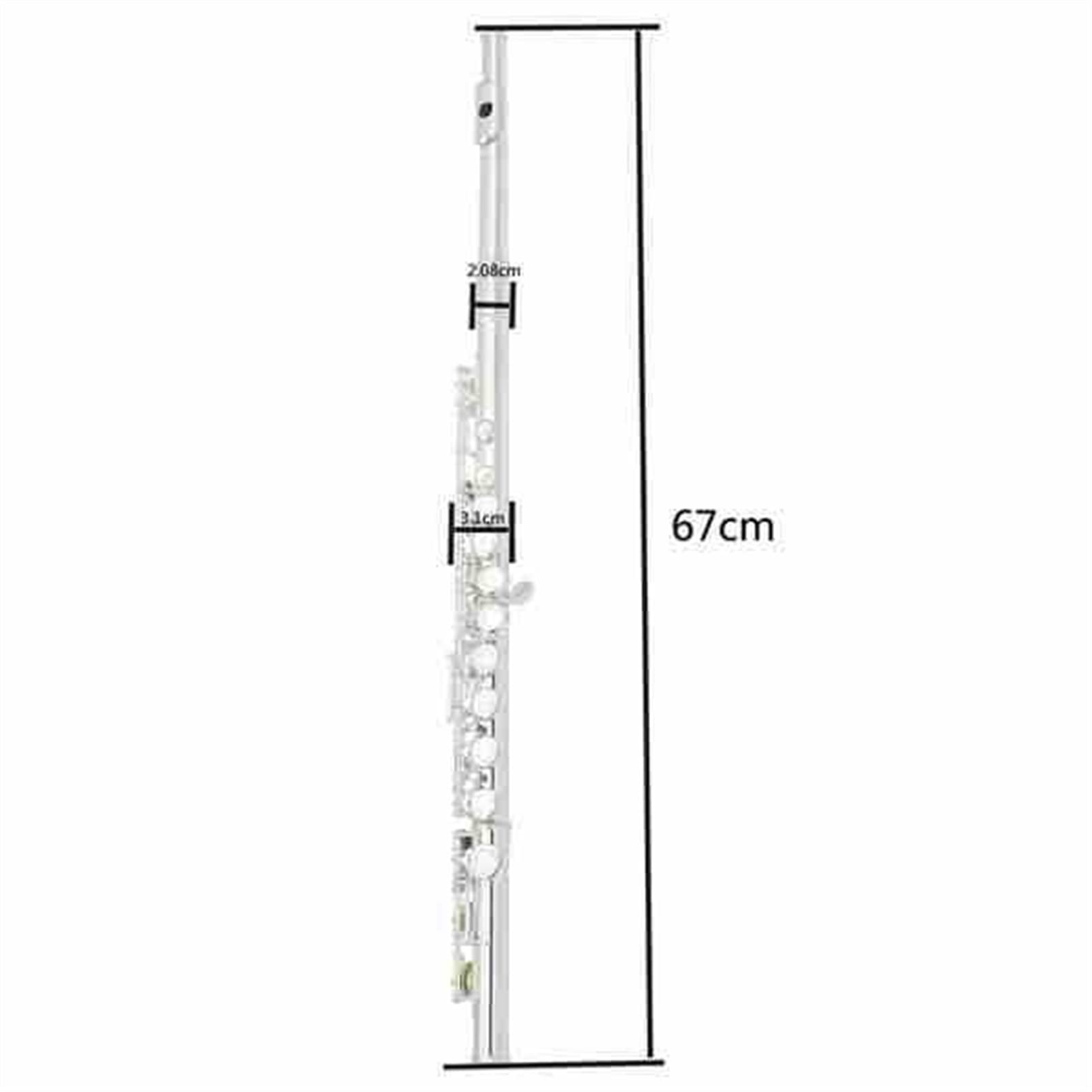 ZUZU Flauta para Instrumentos De Viento Bañada En Plata Y Cobre- níquel Flauta En C De 16 Orificios Más Estuche De Cuero Kit Flauta