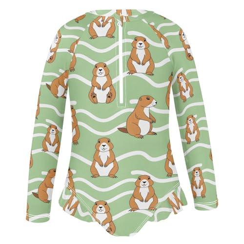 Gopher Pattern on Green Girls Rash Guard Swimsuits Long Sleeve One Pieces Bathing Suit UPF 50+ Zipper Swimwear2