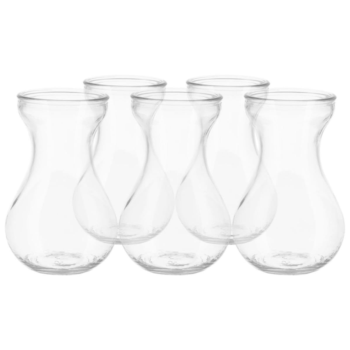Vase en verre plat lot de 5 transparents pour fleurs et culture hydroponique de table