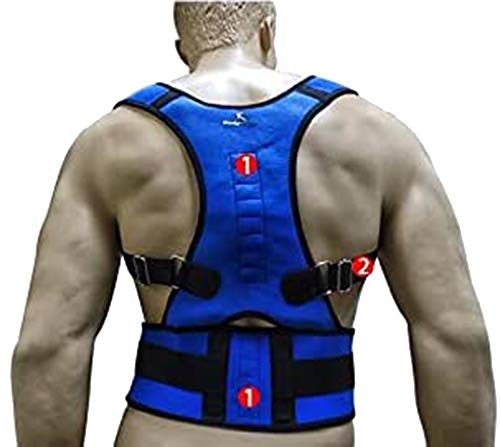 Body-Plus Direct Rückenstütze, magnetisch, Größe XXL, Blau