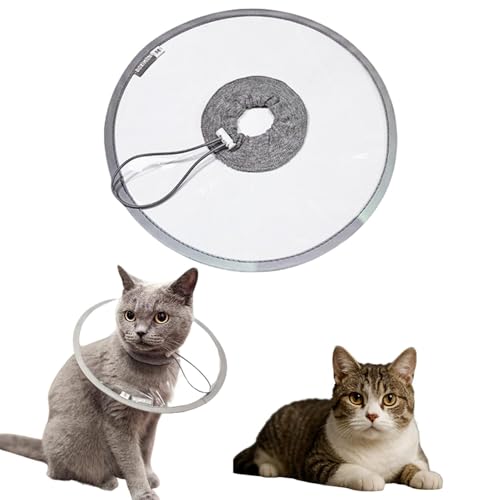 LifetipsAJC[wAL ACLp GUxXJ[ h \tg y pPA ی Ȃߖh~ p EȒP 􂦂 PAJ[(NAj(Lj