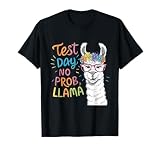 Test Day No Problem Llama Teacher Testing Day Girls Boys T-Shirt