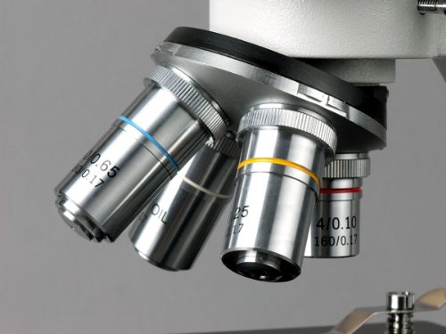 Image of AmScope M500B-LED Cordless Monocular Compound Microscope, WF10x and WF20x Eyepieces, 40x-2000x Magnification, Anti-Mold Optics, LED Illumination, Brightfield, Abbe Condenser, Coarse and Fine Focus, Plain Stage, 110V or Battery