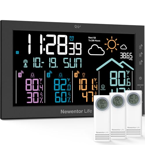 Newentor Weather Station Z1