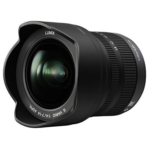 Panasonic Lumix Wide-Angle G Vario Lens