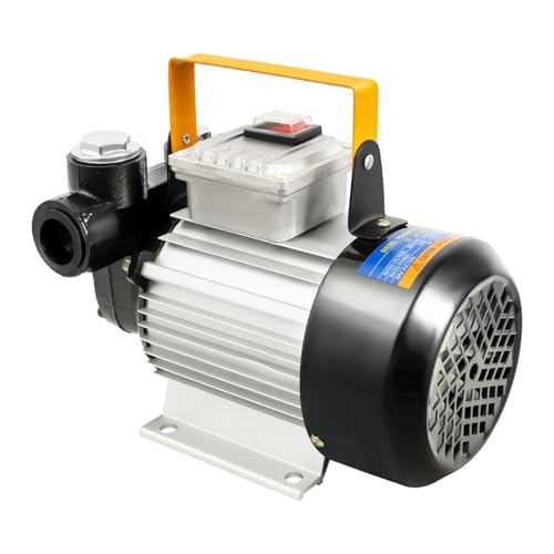 Diesel Transfer Pumpe, 550W 2800rpm Elektrische Kraftstoffpumpe Aus Gusseisen/Aluminium, 5m Saughöhe 60L/min, Öl Umpumpen Für LKW Boot Bagger Bauernhof, Schwarz/Silber, EU-Stecker