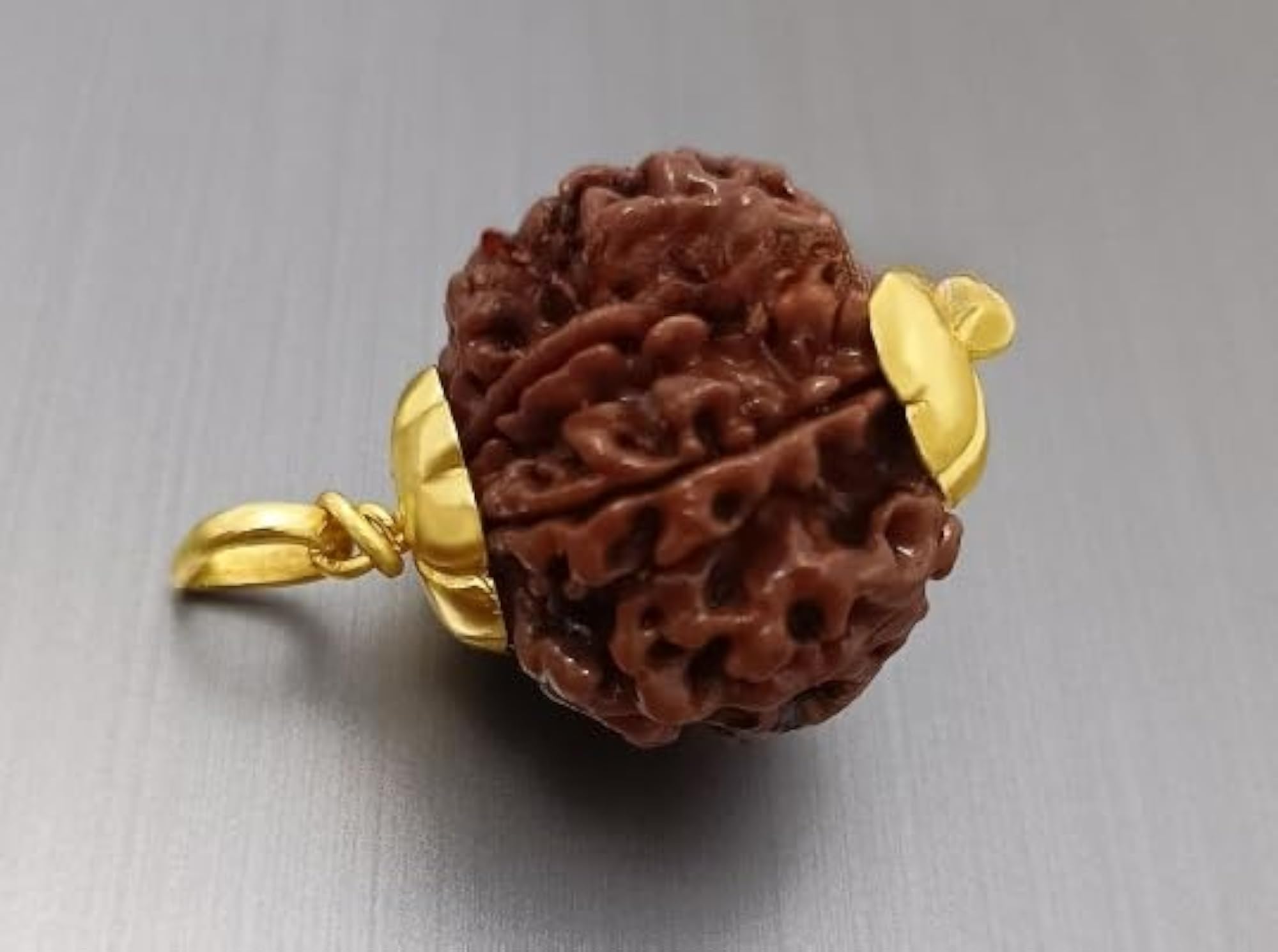 5 Mukhi Rudraksha, Certified Original