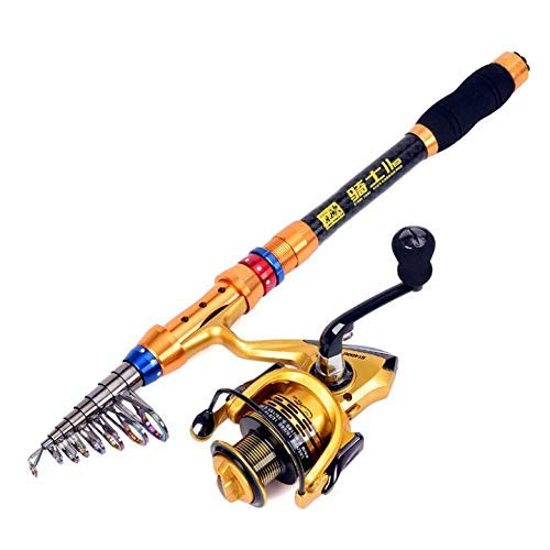 Elikliv 3.0m Fishing Rod Reel Combo, Fishing Rod Set with Carbon Fiber Fishing Pole + Spinning Fishing Reel + Fishing Tackle Storage Carrier Bag