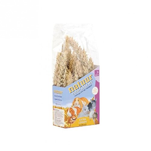 Dreambox Esve Snack Nature Ear of Wheat Rodents 90 g