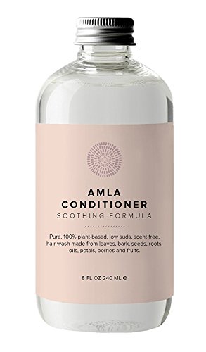 Hairprint - 100% Plant-Based/All Natural Amla Conditioner (8 fl oz/240 ml)