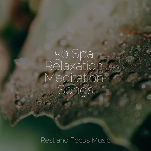 Play 50 Spa Relaxation Meditation Songs by Alpha Waves, Deep Sleep ...