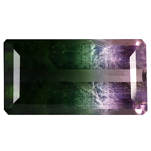 Tourmaline pastèque non chauffée 3.42 ct : la solution pour un bijou bicolore unique