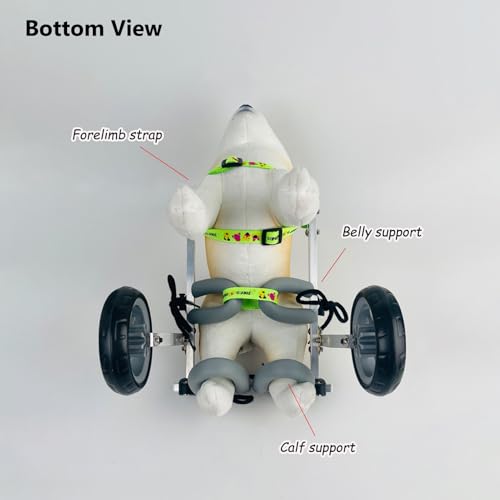 Fauteuil roulant petits chiens remorque vélo Shih Tzu blessé - 7