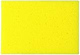 Hydra Sponge AC8 General Duty Sponge, Large, 6