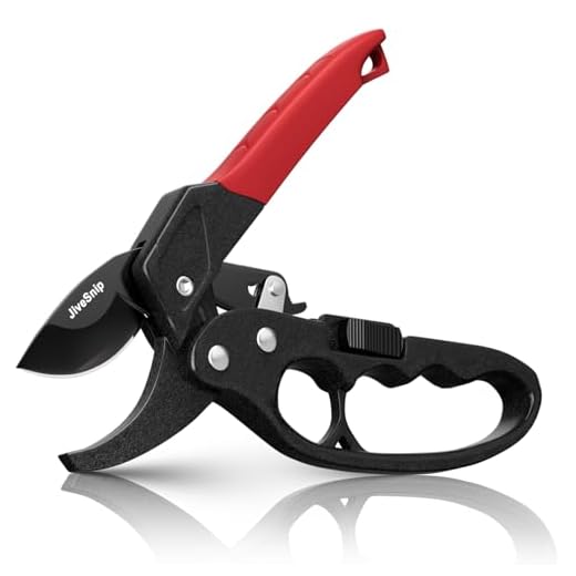 Professional Ratchet Anvil Pruning Shear