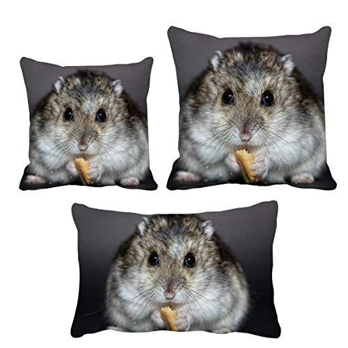 Housse de coussin hamster et rat taie oreiller déco canapé salon - 2