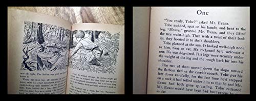 The Far Frontier B000NQIGYS Book Cover