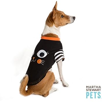 martha stewart cat collars