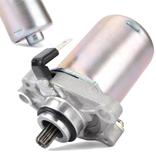 JINCANXIANG Motor de Motocicleta Motor De Arranque para Patinete para Piaggio 50 Free Fly Liberty NRG Sfera Typhoon Vespa Zip 50cc 82530R IP33165 24639001 5506108, 11 Dientes