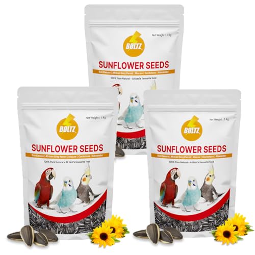 Image of BOLTZ Striped Premium Sunflower Seeds for Birds, Bird Food for Lovebirds, Cockatiels, Sun Conure, African Grey Parrot, Amazon, Macaws, Cockatoos for All Life Stages (3Kg(Pack 3))