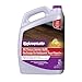 Rejuvenate High Performance All-Floors No Bucket Needed Floor Cleaner Powerful PH Balanced Shine 1 Gallon