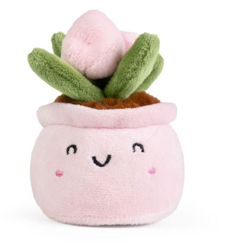 LITTLE Living Nature Green Cactus Plant Stuffed Plush Toy| Soft Toy Gift for Kids, 8 cm x 8 cm x 12 cm
