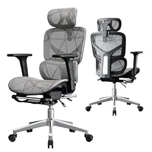 Office Chair with 3D Adjustable Lum...