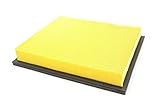 Flachfalten-Filter für Staubsauger Hako VC 800 W, Nilfisk Alto Wap SQ850-11