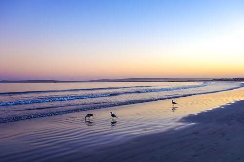 Blaze of Dawn – Ocean Sunrise Photography Print | Golden