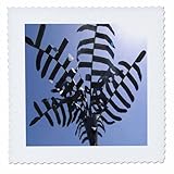 Square dimensions (in inches): 16 L x 16 W, image dimensions (in inches): 14 L x 14 W 100% poloyester; image is soft to touch. Made in USA Edges have pinking shear cut Image will not fade with washing. Image not a transfer, part of material