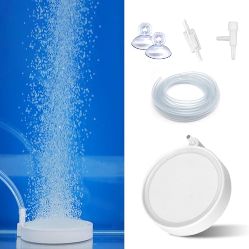 Eagles tBbV^N imGAXg[ - 15.2 cm ANAEou[AtBbV^NouXg[fBXNAn_ffBt[U[AANAE_fGA[^[ou[Xg[ 100~150K^Np